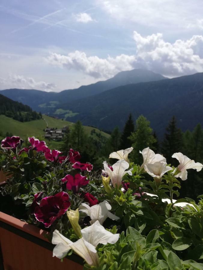 Chalet Niederhaushof Ультимо Экстерьер фото