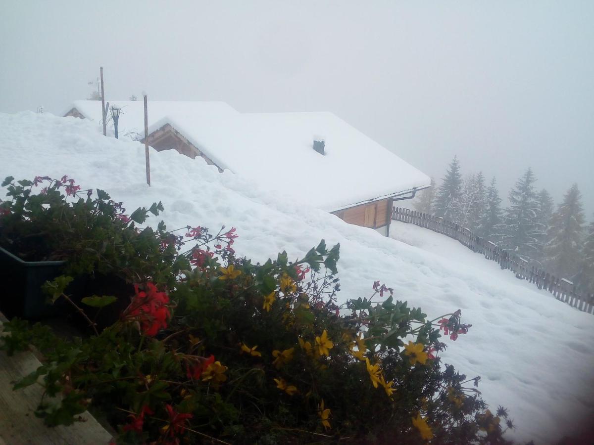 Chalet Niederhaushof Ультимо Экстерьер фото